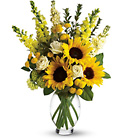 Here Comes The Sun from Parkway Florist in Pittsburgh PA